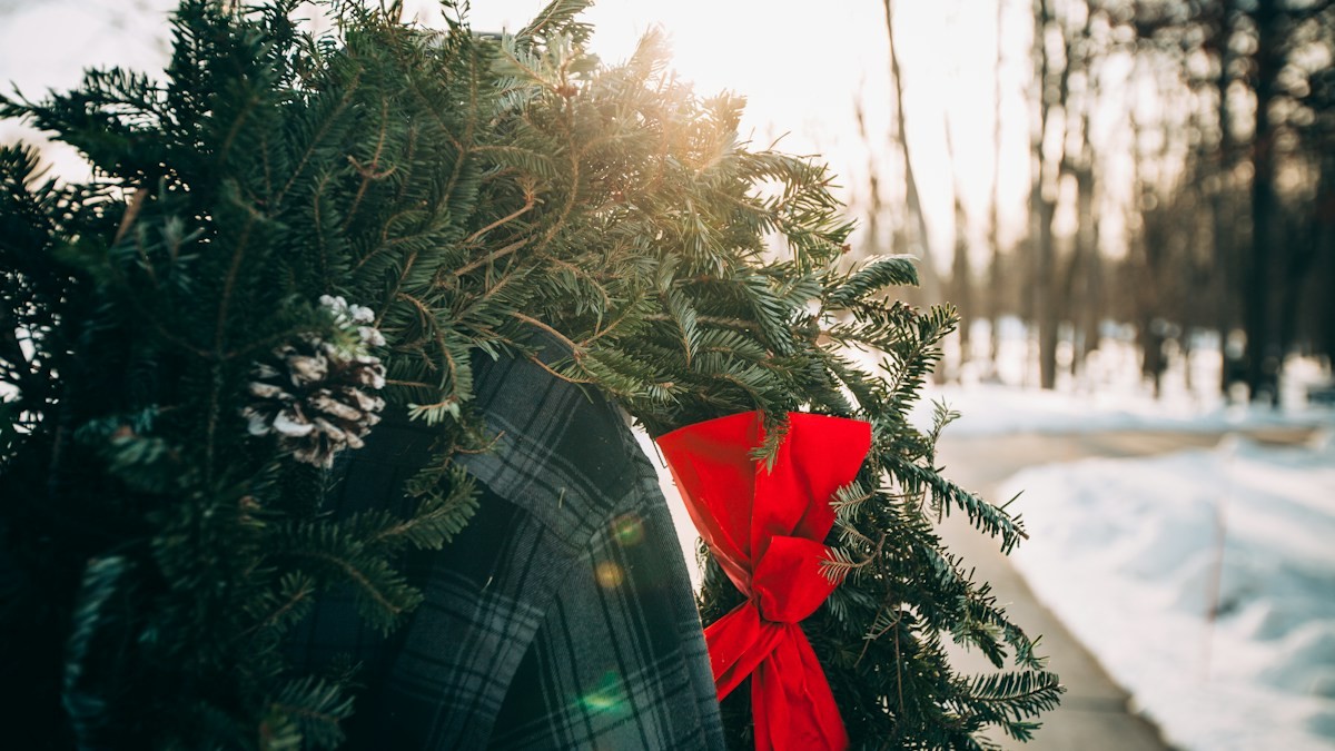 wire frame grapevine wreath - Detailed step-by-step practical implementation overview
